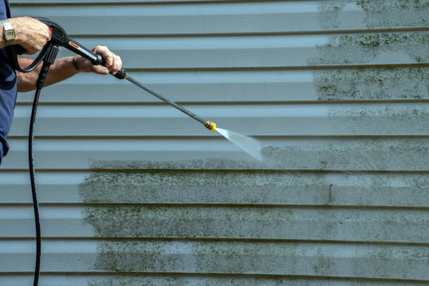 Best Driveway Pressure Washing  in Town And Country, MO